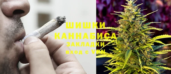 шишки Алексеевка