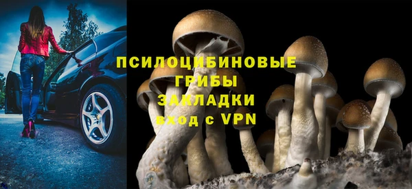гидра Алексин