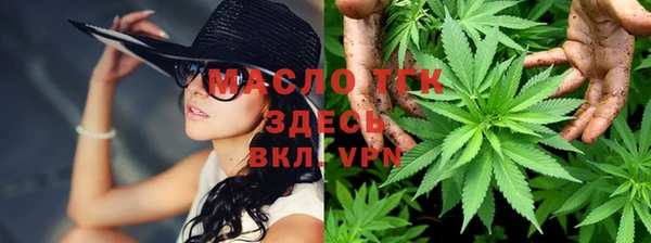 гидра Алексин