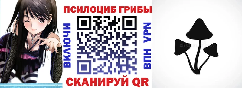 блэк спрут   наркошоп  Менделеевск  Псилоцибиновые грибы мицелий 